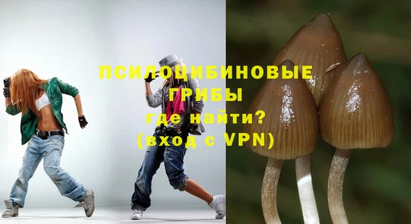 стафф Алексеевка