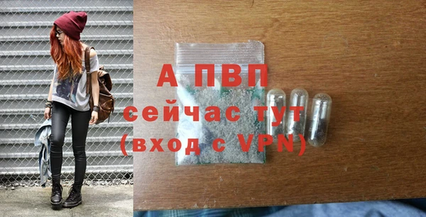 стаф Алексин