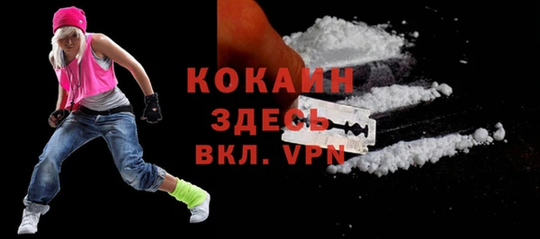 стаф Алексин