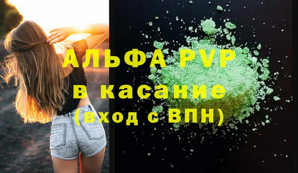 стаф Алексин