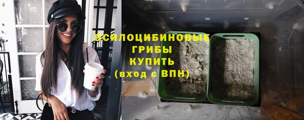 стафф Алексеевка