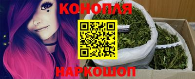 шишки Вязьма