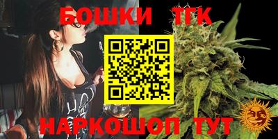 МДПВ Вышний Волочёк