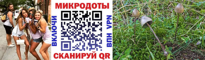 Галлюциногенные грибы MAGIC MUSHROOMS  Большой Камень 