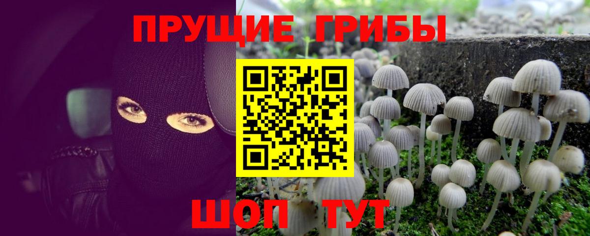 Псилоцибиновые грибы ЛСД Большой Камень